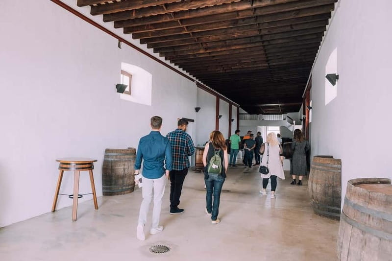 Lanzarote: Sunset vineyard tour with wine and chocolate tasting - Who should book this sunset wine-and-chocolate tour