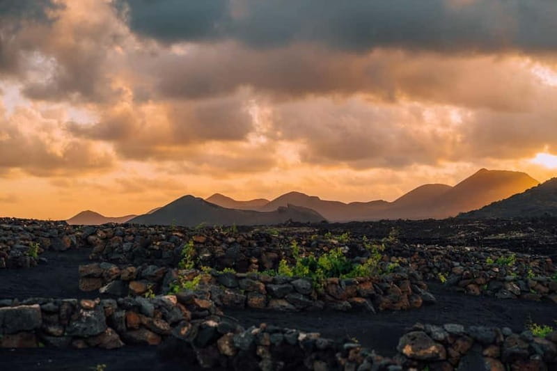 Lanzarote: Sunset vineyard tour with wine and chocolate tasting - The 16th-century house and the 19th-century winery tanks