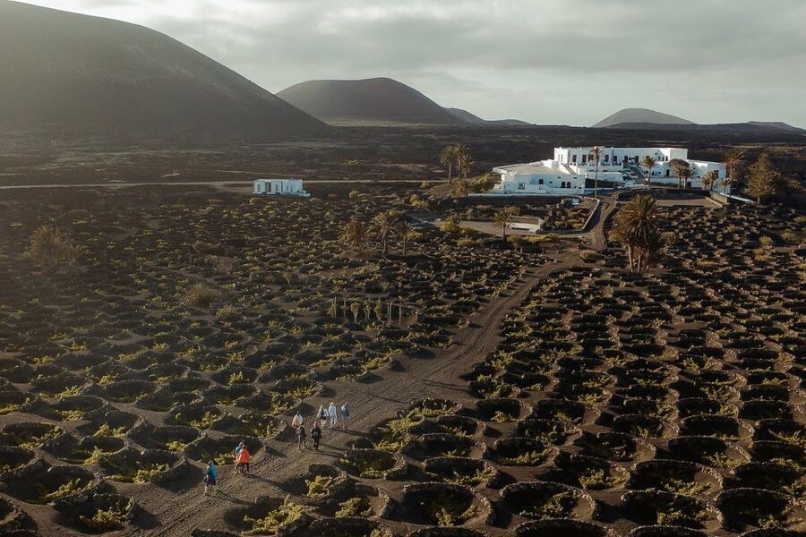 Lanzarote: Vineyard Tour with Wine and Chocolate Tasting - Key highlights to know before you go