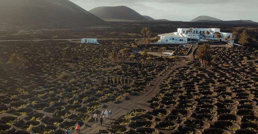 Lanzarote: Vineyard Tour with Wine and Chocolate Tasting - Vineyard walk at Finca Testeina: why the setting matters