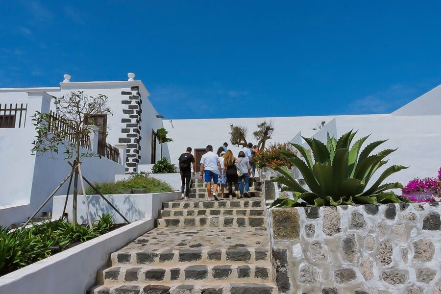 Lanzarote: Vineyard Tour with Wine and Chocolate Tasting - Chocolate pairing: the surprise that actually makes sense