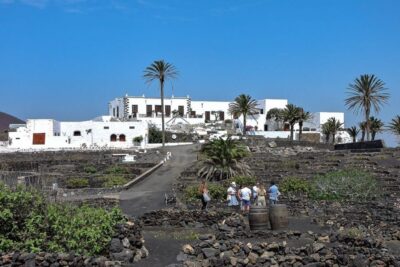 Lanzarote: Vineyard Tour with Wine and Chocolate Tasting - The wine tasting: two organic wines, real grape identity