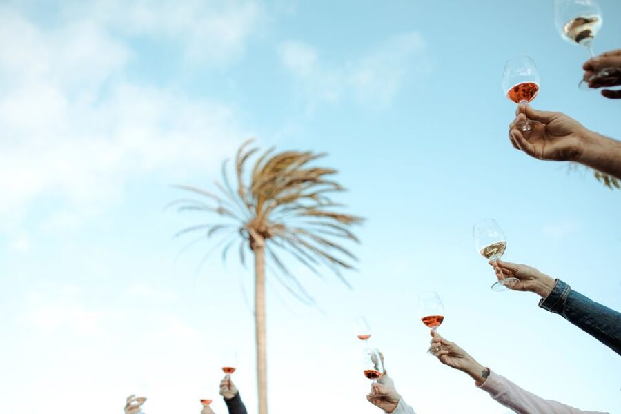 Lanzarote: Vineyard Tour with Wine and Chocolate Tasting - The water culture and Testeina’s old walls: history that affects farming