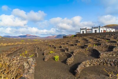 Lanzarote Volcano and Wine Region Tour from Fuerteventura - Timanfaya National Park: the reason most people book this