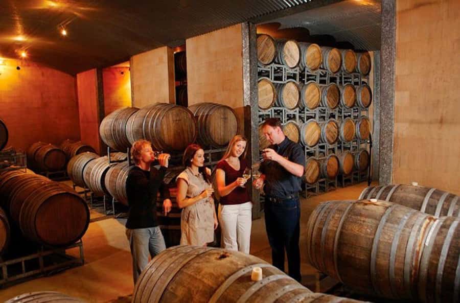 Launceston: Tamar Valley Wine Tour with Lunch - Key things that make this tour worth your time
