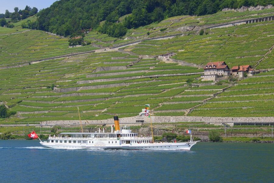 Lausanne: 2-Hour Lake Geneva Cruise Along Lavaux Vineyards - Key things to know before you go
