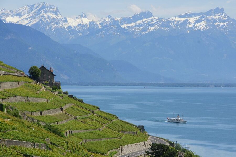 Lausanne: 2-Hour Lake Geneva Cruise Along Lavaux Vineyards - Onboard comfort and First Class seating: where the best angles come from