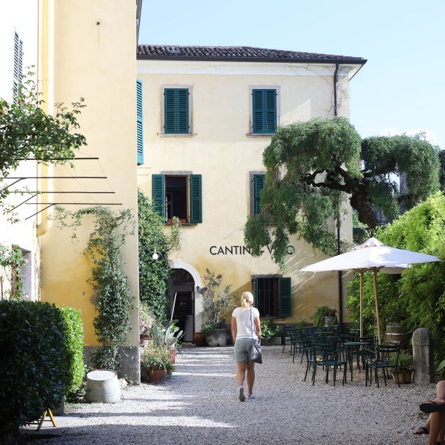 Lazise: Historical Center Wine Tasting Tour - Why This ZF4 Cellar Tasting Feels Like “Local,” Not Just Wine