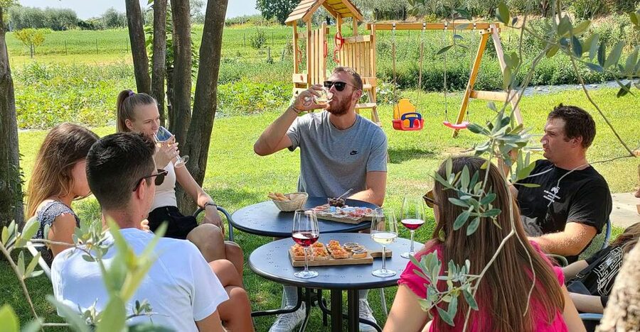 Lazise: Wine Tasting with Charcuterie and Cheese Board - Meeting Susy and learning the farm story behind every pour