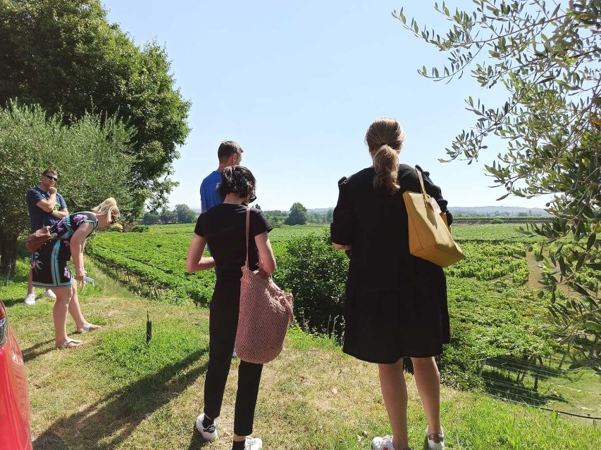 Lazise: Winery Tour with Garda Wines and Food Tasting - Quick hits: what makes this Lazise wine tour a good value