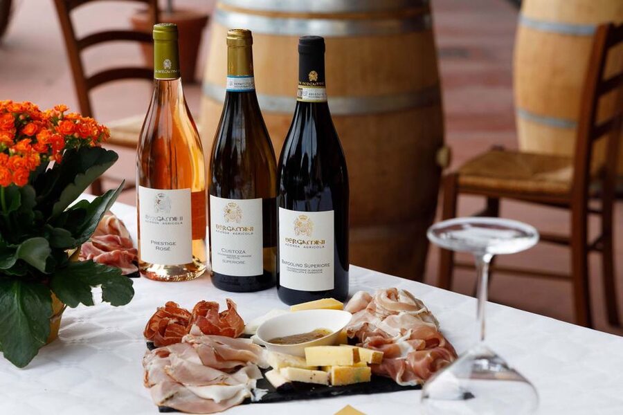 Lazise: Winery Tour with Garda Wines and Food Tasting - The tasting lineup: Bardolino, Chiaretto, Custoza and 6–8 more