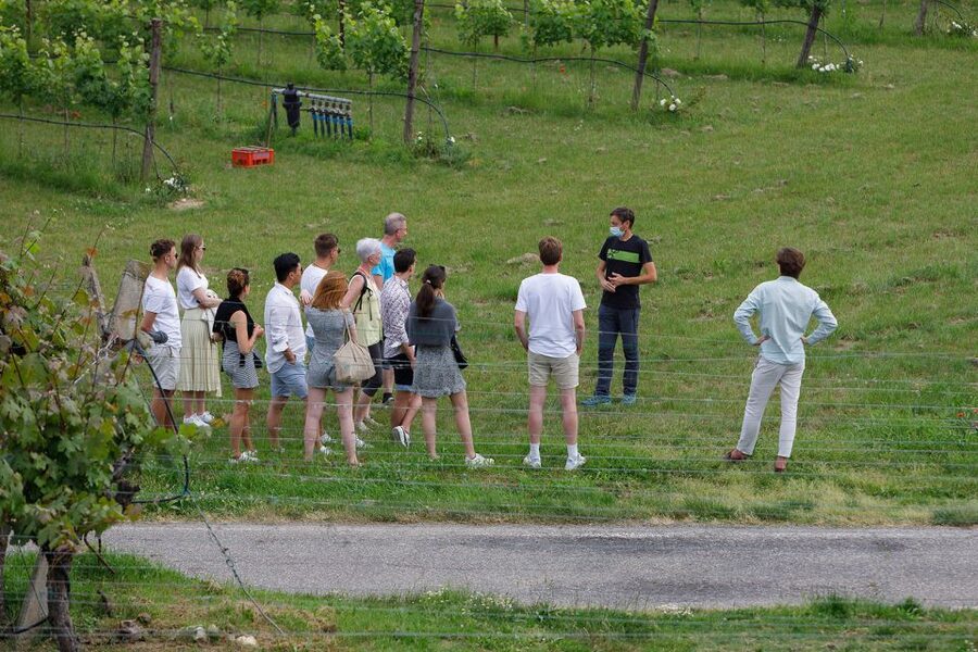 Lazise: Winery Tour with Garda Wines and Food Tasting - The food pairing: cheeses, cold cuts, bread, and Garda olive oil