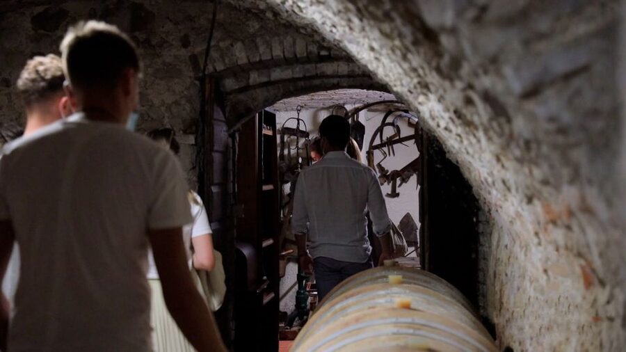 Lazise: Winery Tour with Garda Wines and Food Tasting - Timing and logistics for your Lake Garda day