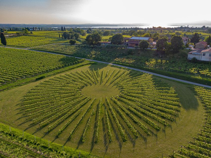 Lazise: Winery Tour with Garda Wines and Food Tasting - Price and value: is $49 worth it?