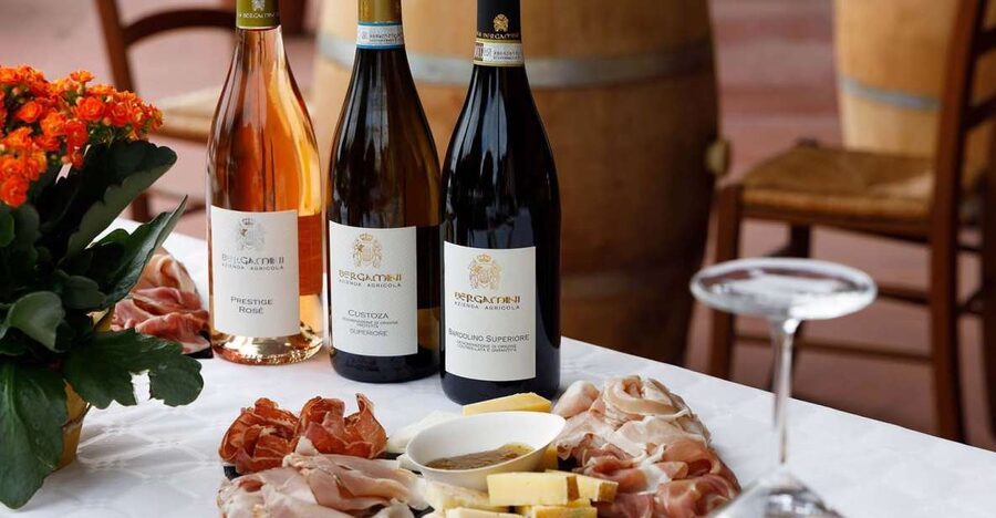 Lazise: Winery Tour with Garda Wines and Food Tasting - Inside the cellar: fermentation and aging, explained where it happens