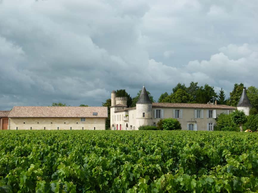 Libourne: Winery Tour with Wine and Chocolate Tasting - Vineyard time: soil life, farming practices, and what you’ll actually taste later