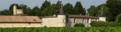 Libourne: Winery Tour with Wine and Chocolate Tasting - The 75-minute flow: vineyard walk, cellar rooms, then tasting