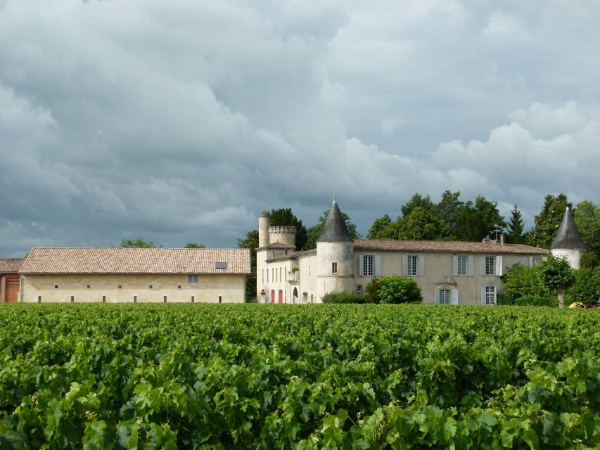 Libourne: Winery Tour with Wine and Chocolate Tasting - The 3-wine tasting matched with 3 dark chocolates