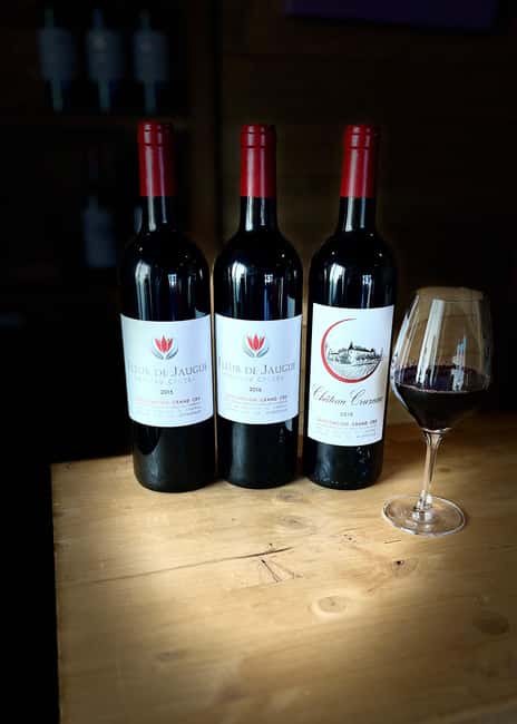 Libourne: Winery Tour with Wine and Chocolate Tasting - Practical tips for a smoother visit