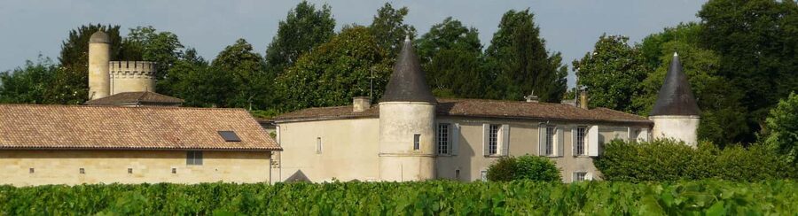 Libourne: Winery Tour with Wine and Chocolate Tasting - The 75-minute flow: vineyard walk, cellar rooms, then tasting