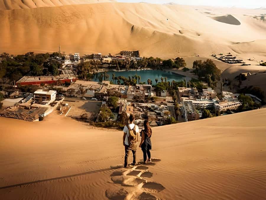 Lima: Paracas & Huacachina Oasis Day Trip with Wine & Dunes - The Ica winery valley stop: pisco and wine tastings that break up the day