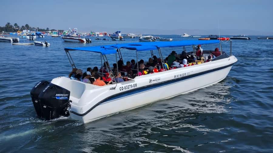 Lima: Paracas & Huacachina Oasis Day Trip with Wine & Dunes - Value check: is $100 a good deal for this coast-to-desert mix?