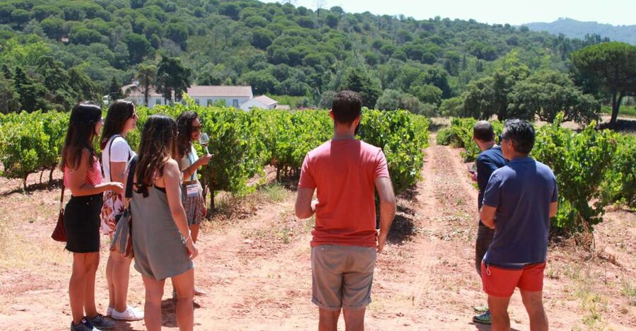 Lisbon: Arrábida and Sesimbra Day Trip with Wine - Key things you’ll notice on this tour