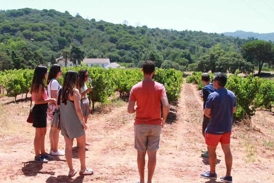 Lisbon: Arrábida and Sesimbra Day Trip with Wine - The morning start: 8:30 AM at Hard Rock Café and the long-bridge mood