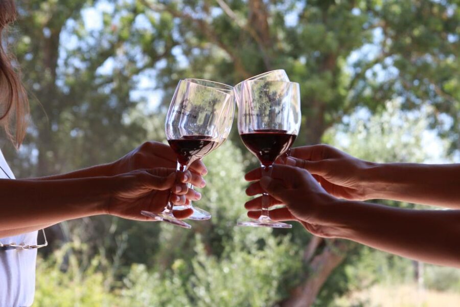 Lisbon: Arrábida and Sesimbra Day Trip with Wine - Price and value: what $75 covers (and what you’ll pay extra)