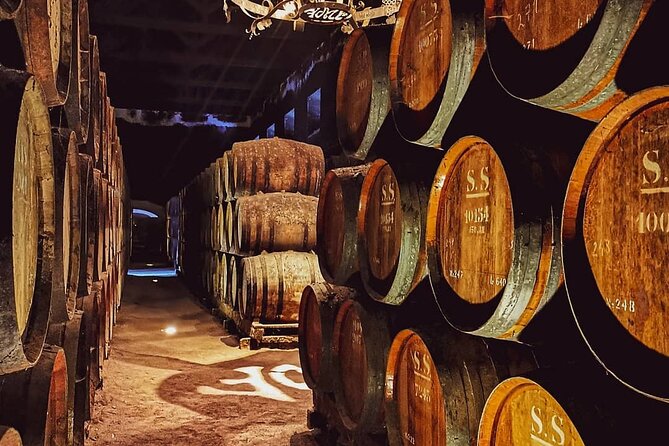Lisbon: Arrábida & Sesimbra Tour – Wine, Nature & Beaches - Quinta de Catralvos in Azeitão: wine tasting with cheese