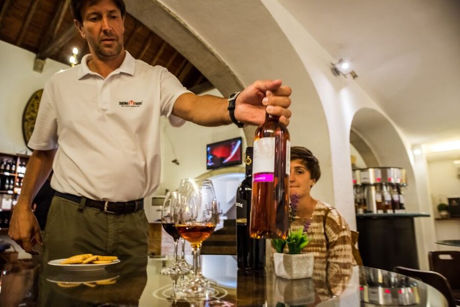 Lisbon Private Setúbal Region Wine Tasting Tour - Key points you’ll care about