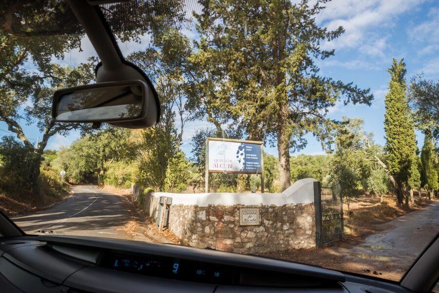 Lisbon Private Setúbal Region Wine Tasting Tour - Setúbal from Lisbon: the vibe of a day trip that feels local