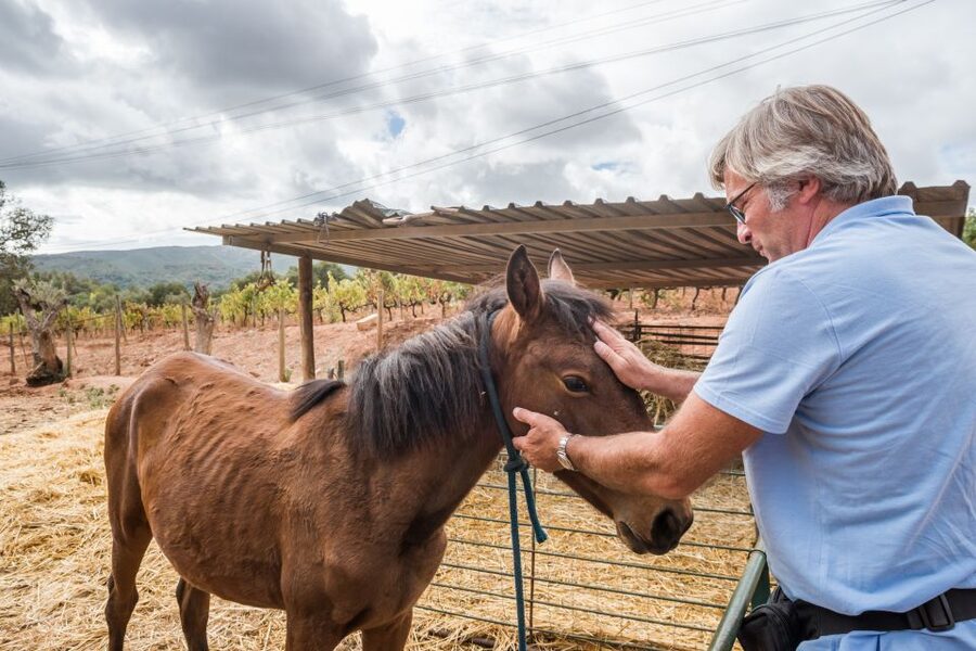Lisbon Private Setúbal Region Wine Tasting Tour - Azeitão and the Arrábida views: where the scenery earns its stop