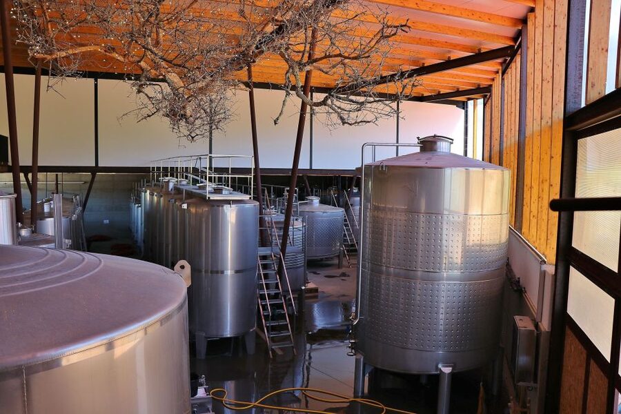 Lisbon Private Setúbal Region Wine Tasting Tour - Lunch and local food: what you’ll eat depends on the option