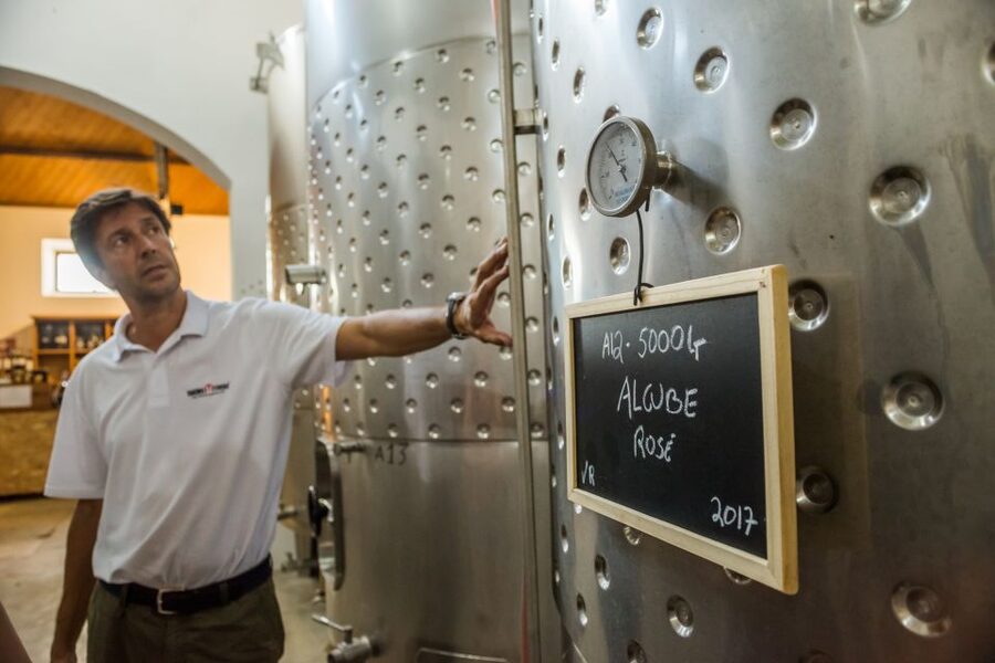 Lisbon Private Setúbal Region Wine Tasting Tour - Your guide: what makes the day feel personal