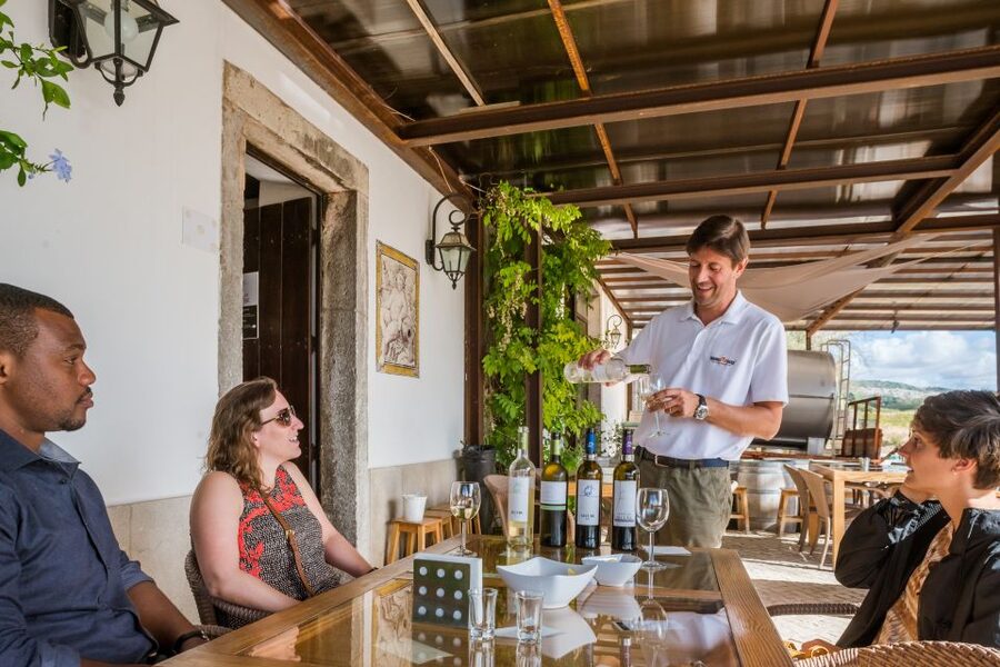 Lisbon Private Setúbal Region Wine Tasting Tour - Your two tour options: how to choose the right pace