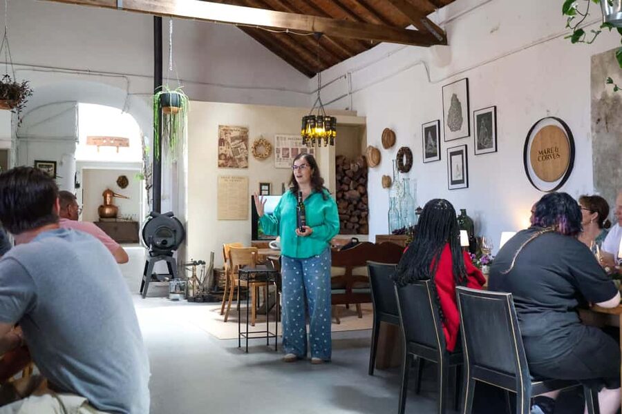 Lisbon: Sintra, Pena Palace & Wine Tasting Small-Group Tour - Colares Wine Estate: The 3-Wine Tasting That Makes It Make Sense