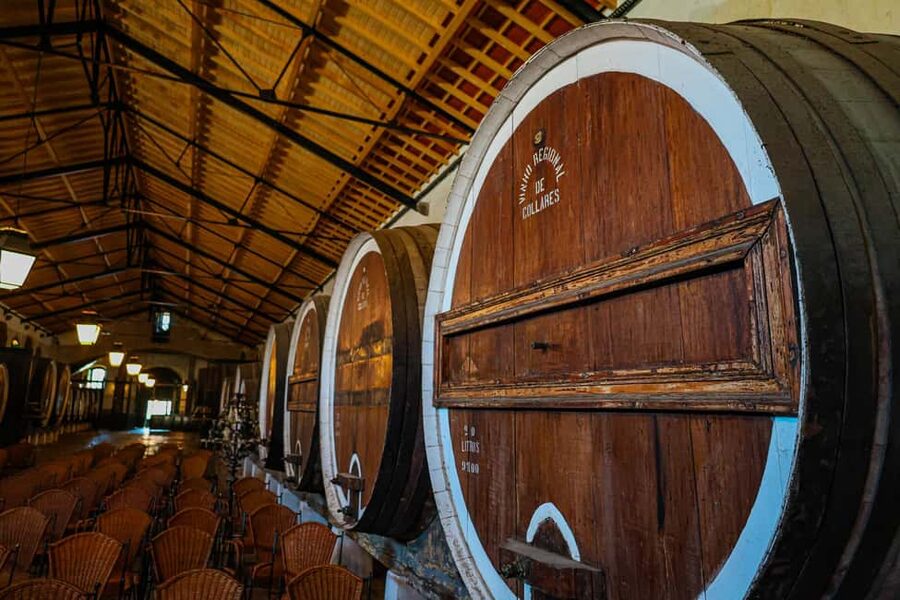 Lisbon: Sintra, Pena Palace & Wine Tasting Small-Group Tour - Cascais Free Time: Seaside Reset After the Hills