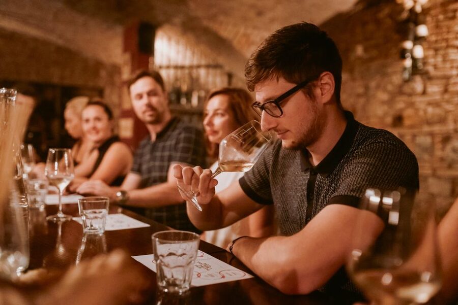 Ljubljana: Wine Tasting Experience with Appetizers - Should You Book This Ljubljana Wine Tasting?
