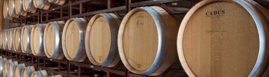 Llucmajor: Bodegas Bordoy Wine Tour - Bodegas Bordoy in Llucmajor: a Mallorca winery tour that stays human
