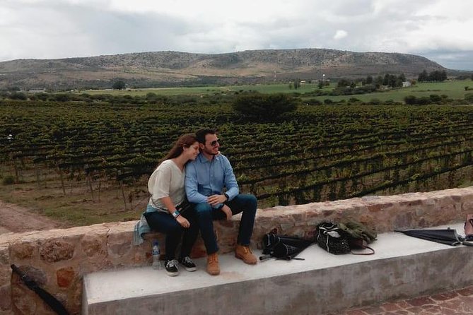 Local Vineyard Tour & Wine Tasting at the Independence Valley - Tasting line-up: from Sauvignon Blanc to Tempranillo