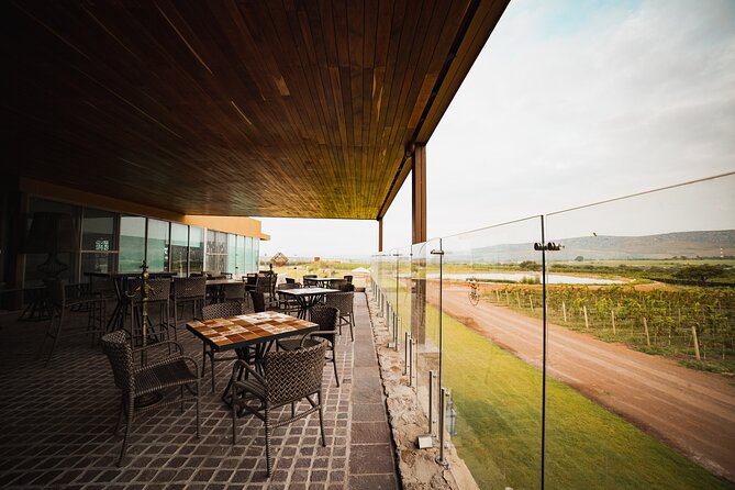 Local Vineyard Tour & Wine Tasting at the Independence Valley - Price and value: what $99 buys you (and when it’s a win)