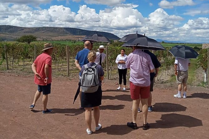 Local Vineyard Tour & Wine Tasting at the Independence Valley - What happens on the vineyard tour (and why it’s worth it)