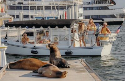Los Angeles: Luxury Cruise with Wine, Cheese & Sea Lions - Wine and Charcuterie: The Nice Part You Can Actually Taste