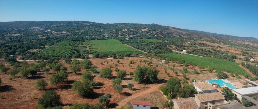 Loulé: Quinta da Tôr Winery Guided Tour and Wine Tasting - Meeting point and getting there: finding the stainless steel gate