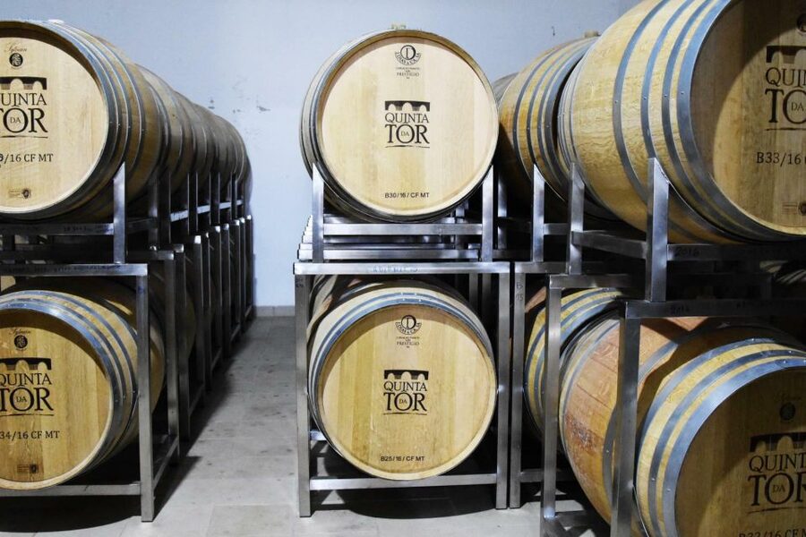 Loulé: Quinta da Tôr Winery Guided Tour and Wine Tasting - Bread and olive oil: the Algarvian pairing that makes it feel local