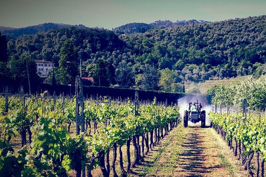 Lucca: Guided E-Bike and Wine Tour - Starting at Piazzale Ricasoli: you’ll get set up fast