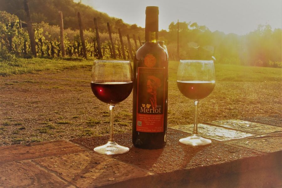 Lucca: Guided E-Bike and Wine Tour - Leaving the walls for villages and family farms