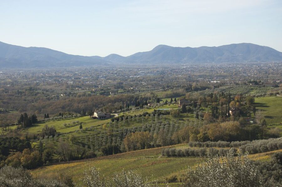Lucca: Guided E-Bike and Wine Tour - What $123.48 really buys you in a 3.5-hour day