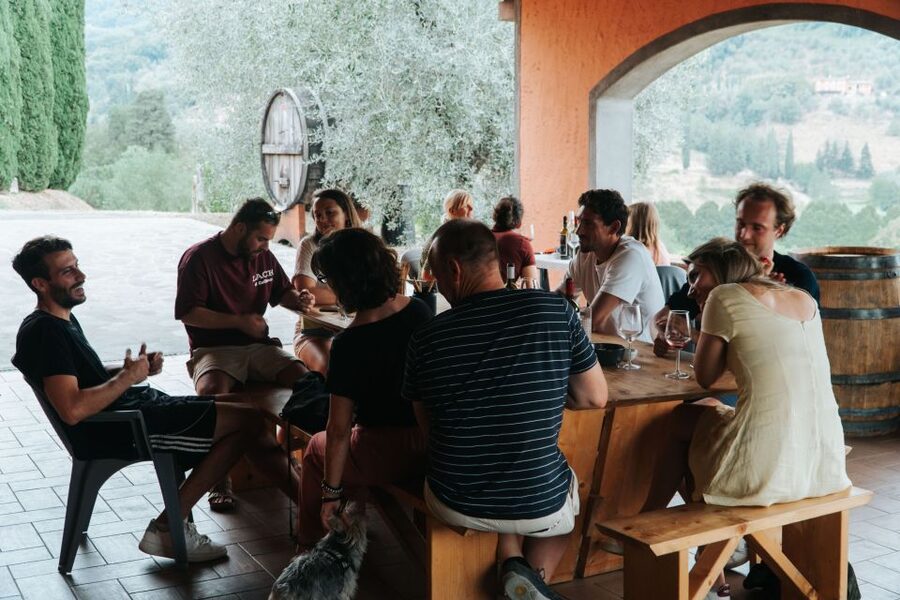 Lucca: Guided Winery Tour with Wine Tasting - Cellar Tour (15–20 Minutes): What You Actually Learn